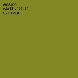 #838922 - Sycamore Color Image