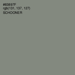 #83897F - Schooner Color Image