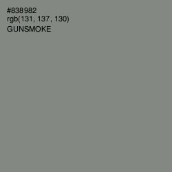 #838982 - Gunsmoke Color Image