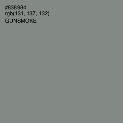 #838984 - Gunsmoke Color Image