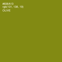 #838A13 - Olive Color Image