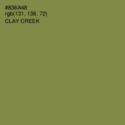 #838A48 - Clay Creek Color Image