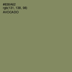 #838A62 - Avocado Color Image