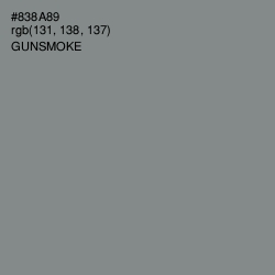 #838A89 - Gunsmoke Color Image