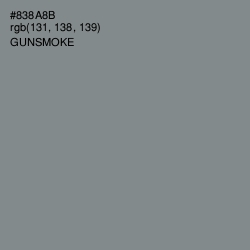 #838A8B - Gunsmoke Color Image