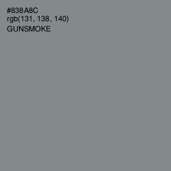 #838A8C - Gunsmoke Color Image