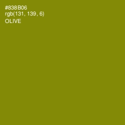 #838B06 - Olive Color Image