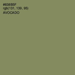 #838B5F - Avocado Color Image