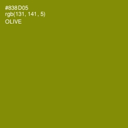 #838D05 - Olive Color Image