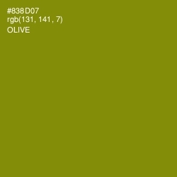 #838D07 - Olive Color Image