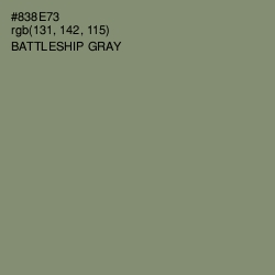 #838E73 - Battleship Gray Color Image