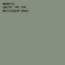 #838F7C - Battleship Gray Color Image