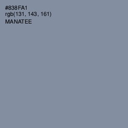 #838FA1 - Manatee Color Image