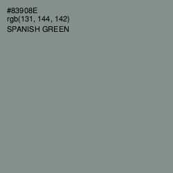 #83908E - Spanish Green Color Image