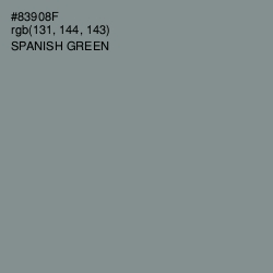 #83908F - Spanish Green Color Image