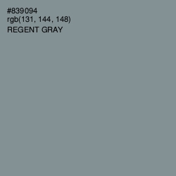 #839094 - Regent Gray Color Image