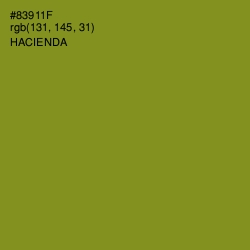 #83911F - Hacienda Color Image