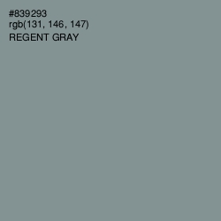 #839293 - Regent Gray Color Image