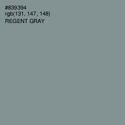 #839394 - Regent Gray Color Image