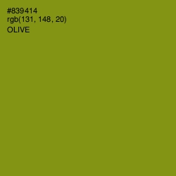 #839414 - Olive Color Image