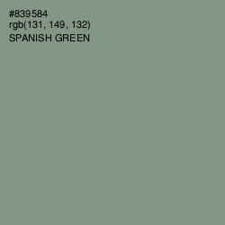 #839584 - Spanish Green Color Image