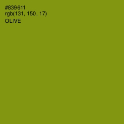 #839611 - Olive Color Image