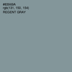 #83969A - Regent Gray Color Image