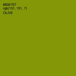 #839707 - Olive Color Image