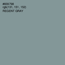 #839798 - Regent Gray Color Image