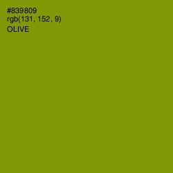 #839809 - Olive Color Image