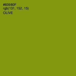 #83980F - Olive Color Image