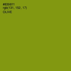 #839811 - Olive Color Image