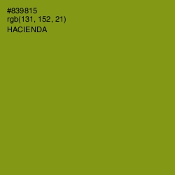 #839815 - Hacienda Color Image