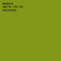 #839818 - Hacienda Color Image