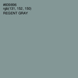 #839896 - Regent Gray Color Image