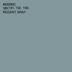 #83989C - Regent Gray Color Image