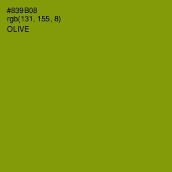 #839B08 - Olive Color Image