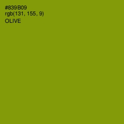 #839B09 - Olive Color Image