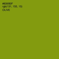 #839B0F - Olive Color Image