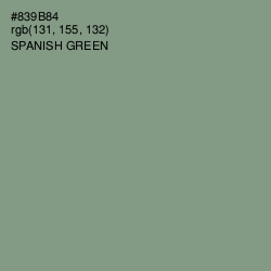 #839B84 - Spanish Green Color Image