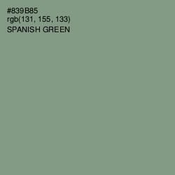 #839B85 - Spanish Green Color Image