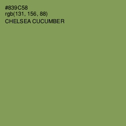 #839C58 - Chelsea Cucumber Color Image