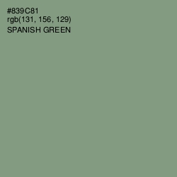 #839C81 - Spanish Green Color Image