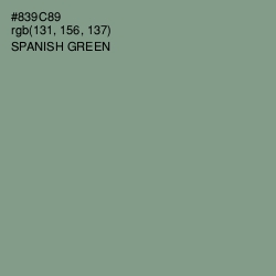 #839C89 - Spanish Green Color Image