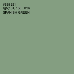 #839E81 - Spanish Green Color Image