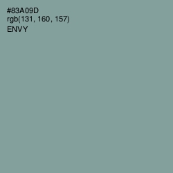 #83A09D - Envy Color Image