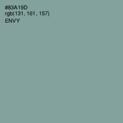 #83A19D - Envy Color Image