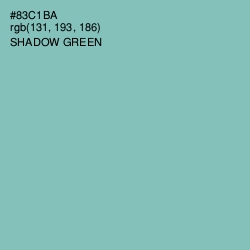 #83C1BA - Shadow Green Color Image