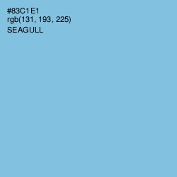 #83C1E1 - Seagull Color Image