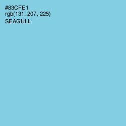 #83CFE1 - Seagull Color Image